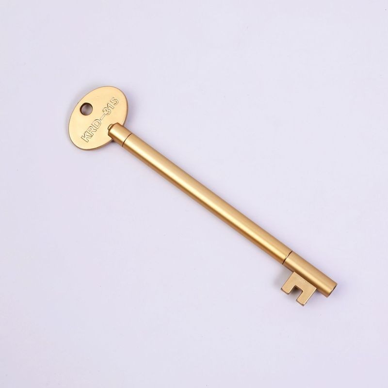 Trendy Vintage Key Gel Pen – pinkpops.pk