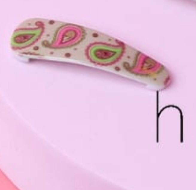 Paisley Designed Hair Clip