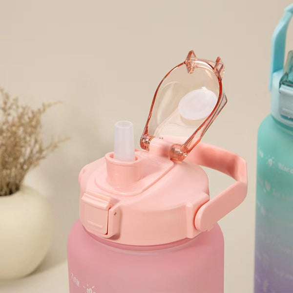 Pink Premium Water Bottles